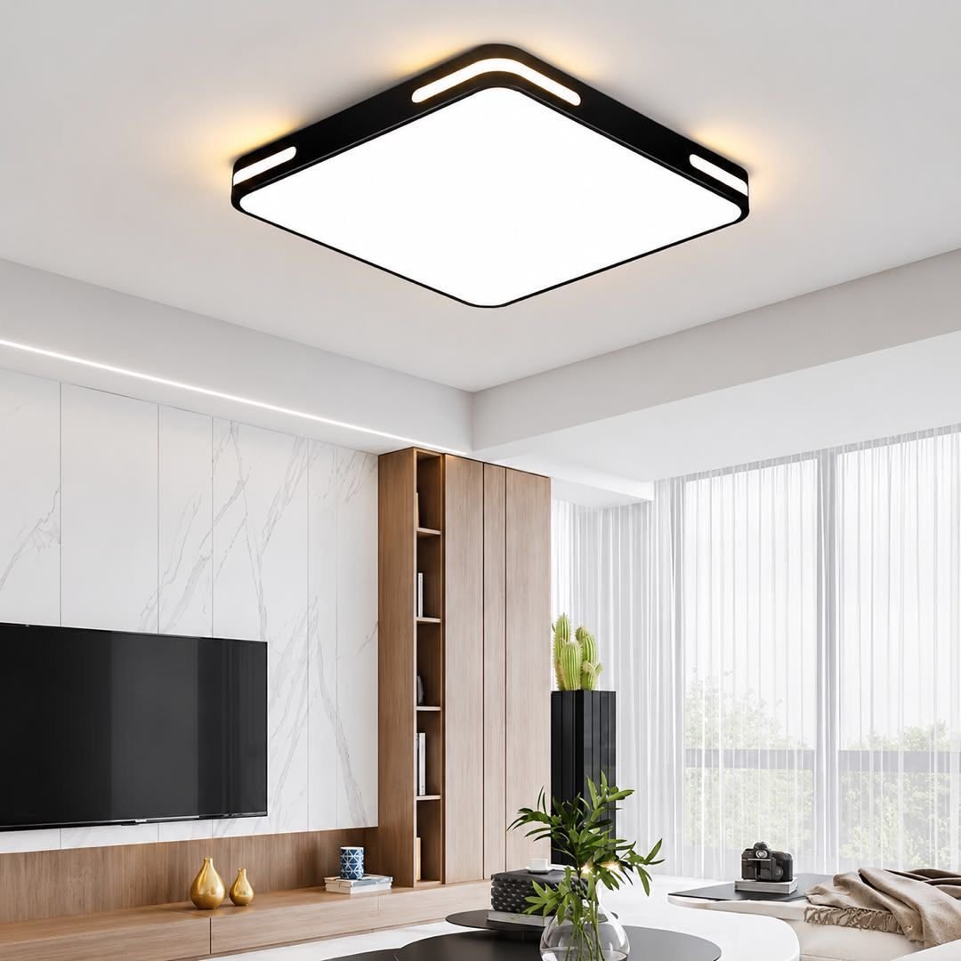 Flush mount | ceiling light